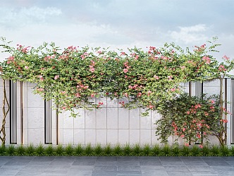 Modern Campsis Green Plant Wall Combination Wall Climbing Vine Greening Parthenocissus 3d model