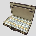Premium Fashion Apparel Budget In Open Leather Briefcase With Cash