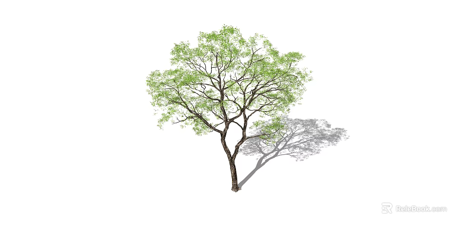 Isolated Arbor with Lush Green Leaves and Brown Trunk Casting Shadow 3d model