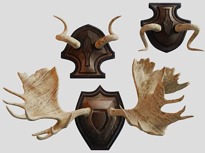 Decorative Ornament Set With Wall Mounted Antler Design And Wooden Base 3d model