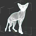 Gray Sphynx Cat Standing With Yellow Eyes On Gray Background 3d model