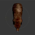 Reddish Brown Bear 3D Model With Detailed Texture And Realistic Rendering