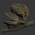 Organic Circular Arrangement Of Brown Textured Pod Like Segments With Central Hollow