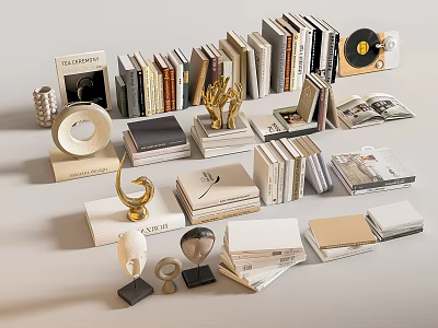 Stylish Books And Magazines Collection With Decorative Sculptures And Vinyl Records 3d model
