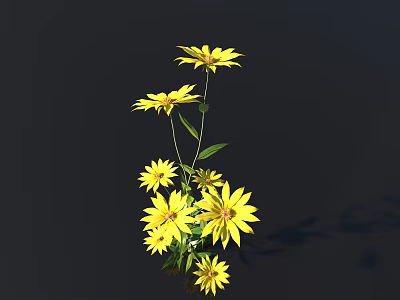 Vibrant Yellow Flowers With Green Stems And Leaves On Dark Background 3d model