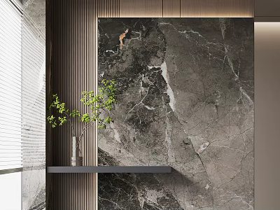 Modern Foyer Hallway With Marble Wall Wooden Slats And Greenery 3d model