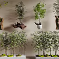 Decorative Bamboo Plants in Various Containers Including Tree Stumps and White Pots Arranged in Rows