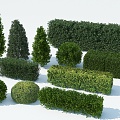 Modern shrub hedge 3d model