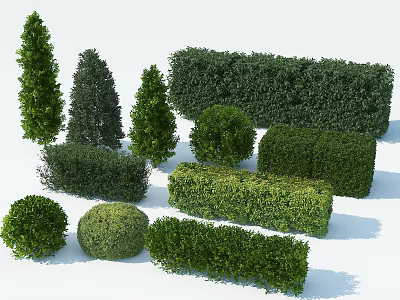 Different Shaped Well Trimmed Garden Shrubs Ideal For Landscaping Projects 3d model