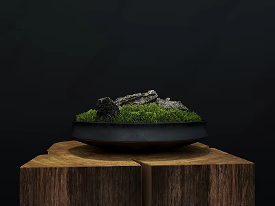Natural Moss With Stones In Black Container On Wooden Stump 3d model
