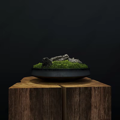 Natural Moss With Stones In Black Container On Wooden Stump 3d model