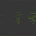 Green Leafy Plants With Round Leaves On Tall Stems Growing In Multiple Clusters