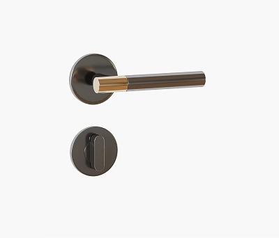 Modern Black Gold Metal Door Handle with Sleek Lock Plate Design 3d model