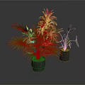 Indoor Green Leaf Plants With Red Foliage In Gray Ceramic Pots 3d model
