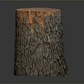 Natural Wooden Stump With Rough Bark And Smooth Cross Section Surface