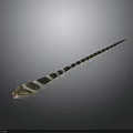 Black and white striped snake with cobra like head stretched on dark background flicking tongue