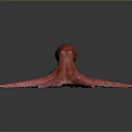 Pink Octopus With Long Tentacles In 3D Rendering On Gray Background