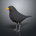 Low Poly Black Bird With Yellow Beak Eyes And White Legs On Dark Background