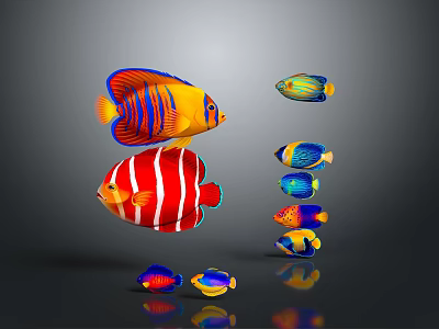 Colorful Aquatic Fish With Red Stripes Blue And Yellow Patterns Swimming Together 3d model