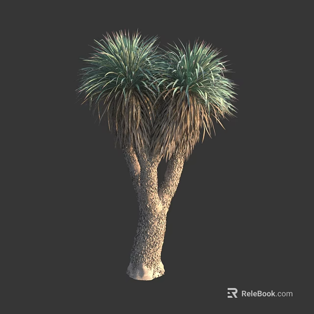 Tall Tree With Double Trunks Lush Green Leaves And Textured Bark 3d model 