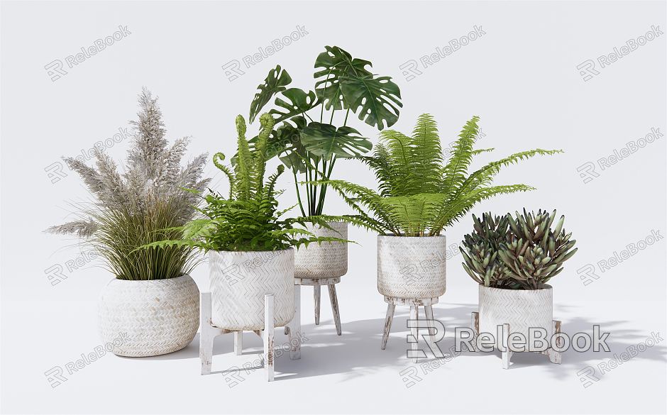 Modern potted ferns potted succulents Pennisetum turtle leaf Venus fern model