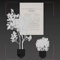 Modern Indoor Bonsai Potted Plants With White Walls Decorative Art And Ceramic Pots