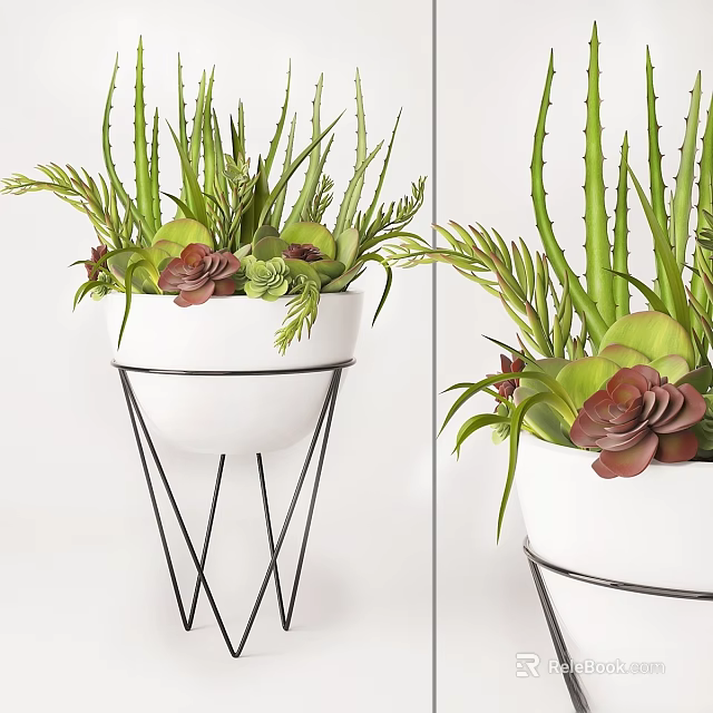 Decorative Ornament Set With Green Plants Succulents In White Pots And Black Metal Stands 3d model 