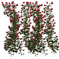 Decorative Climbing Vine With Lush Green Leaves And Vibrant Orange Flowers On White Wall