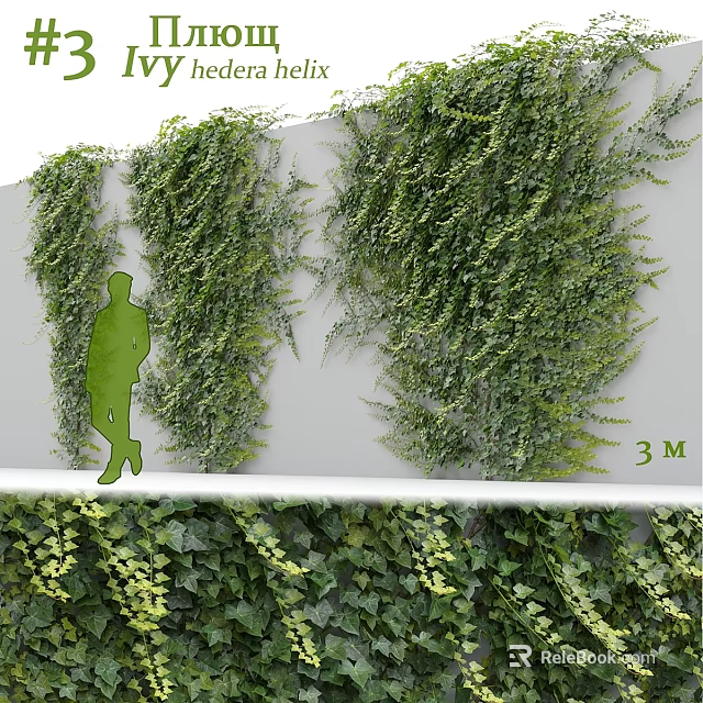 Green Ivy Wall Decorative Ornament Set With 3M Size And Human Silhouette 3d model 