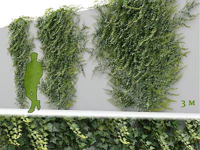 Green Ivy Wall Decorative Ornament Set With 3M Size And Human Silhouette 3d model