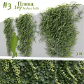 Green Ivy Wall Decorative Ornament Set With 3M Size And Human Silhouette