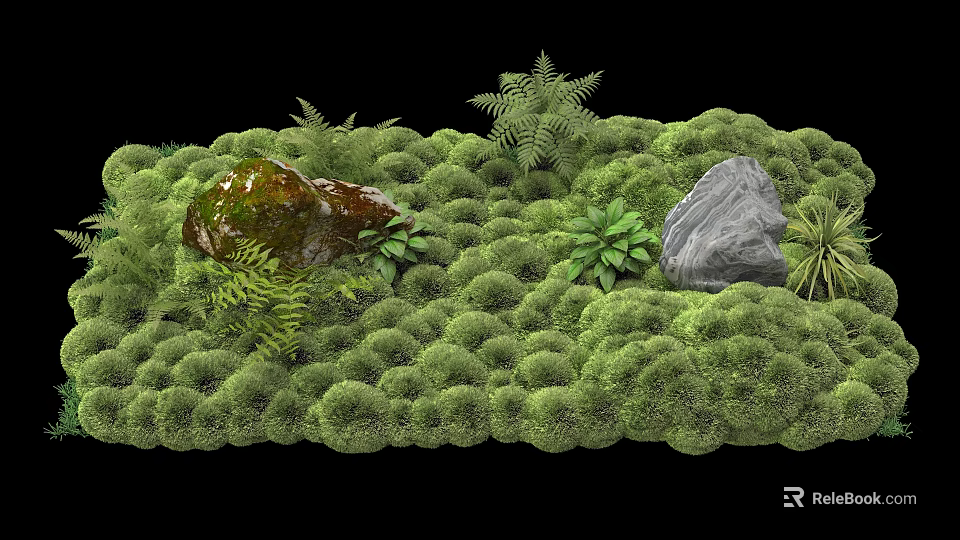 Lush Green Moss Covered Surface With Rocks And Ferns In Natural Scene 3d model 