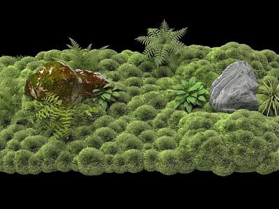Lush Green Moss Covered Surface With Rocks And Ferns In Natural Scene 3d model