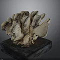 Coral Shaped Sculpture Placed on Black Base for Decorative Art