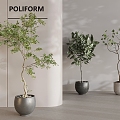 green plant potted plant combination pottery pot plant green plant 3d model