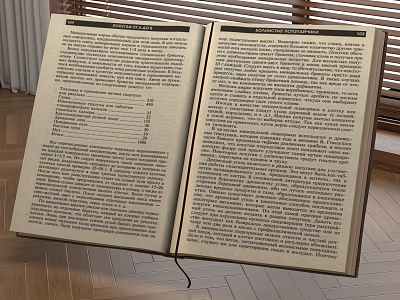Decorative Ornament Set Featuring Open Book with Text Pages Window Blinds Wooden Floor 3d model