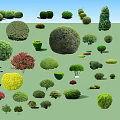 Various Shaped Ornamental Arbor Trees With Colorful Leaves And Pruned Forms