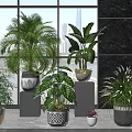 Indoor Plants Collection With Various Greenery In Stylish Pots Near Large Windows And City View