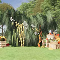 Outdoor Floral Display With Hanging Plants White Flowers And Fruits In Green Grass
