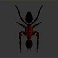 3D Rendered Metallic Ant With Black Red Body And Shiny Surface