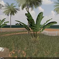 Charming Tropical Beach Cabin Scenery With Lush Palm Trees And Comfortable Seaside Outdoor Lounge