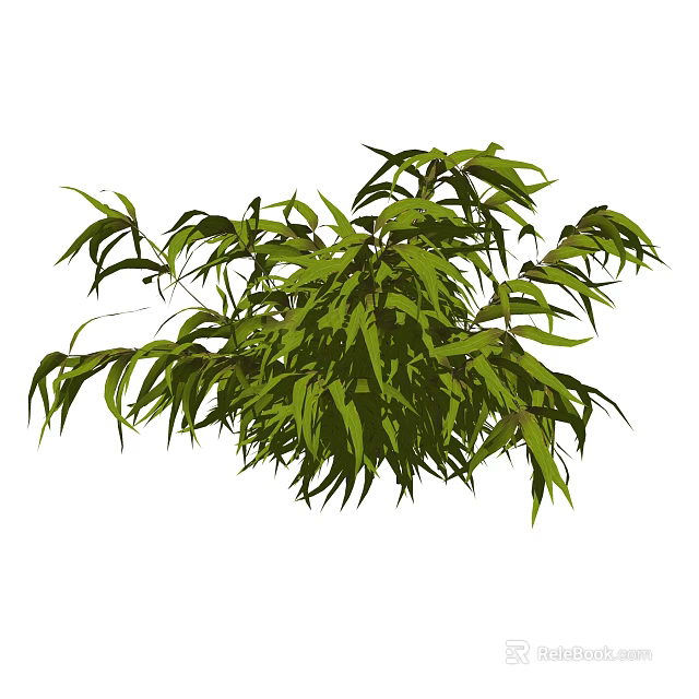 Lush Green Shrub With Vibrant Foliage For Beautiful Outdoor Garden Design 3d model 