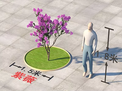 Crape Myrtle Tree in Circular Green Lawn with 1.8m Height and 1.5m Diameter Reference Figure 3d model