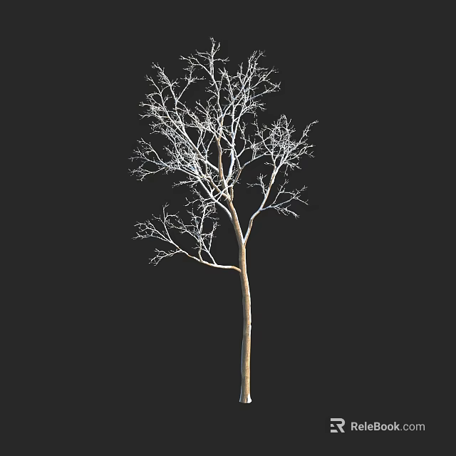 Leafless Tree with Brown Trunk and White Branches on Black Background 3d model