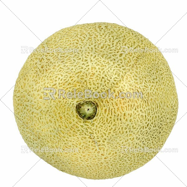 Hami melon fruit food 3d model