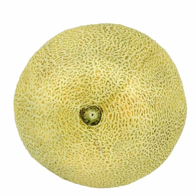 Fresh Ripe Cantaloupe Fruit With Textured Yellow Skin And Round Shape 3d model