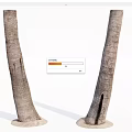 Stone and Wood Decorative Trunks with Natural Texture and Solid Stone Bases