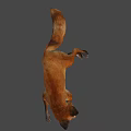 Realistic 3D Model of a Brown Fox Lying Down on Gray Background