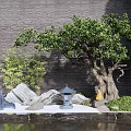 Courtyard Garden Design Featuring Large Tree Bamboo Rock Formations Blue Lantern And Water Reflections