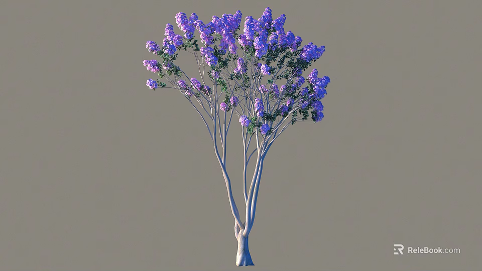 Beautiful Blooming Arbor With Purple Flowers Green Leaves And Slender Trunks 3d model 